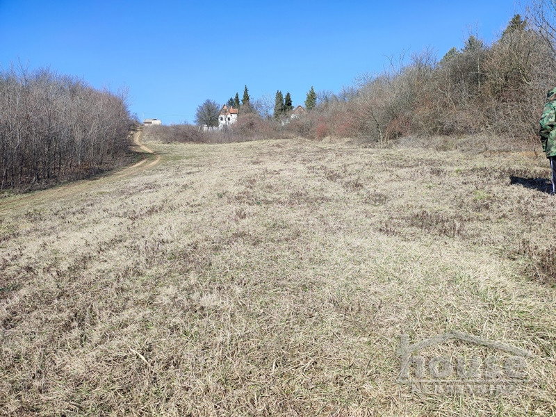 IMG-20230210-130030 Plac na prodaju, Čortanovci, Inđija, 2200m², 36.500 €