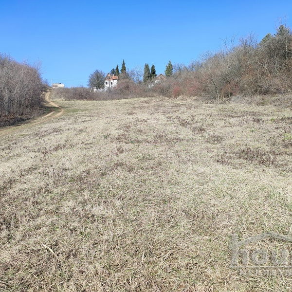 Plac na prodaju, Čortanovci, Inđija, 2200m², 36.500 €