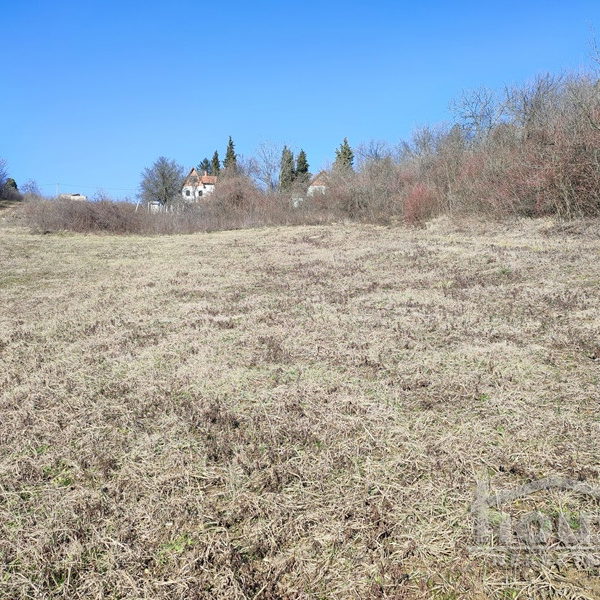 Plac Prodaja Novi Sad  2200 m2