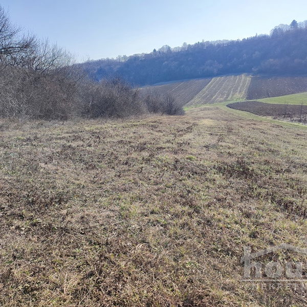 Plac na prodaju, Čortanovci, Inđija, 2200m², 36.500 €