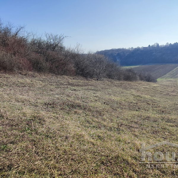 Plac Prodaja Novi Sad  2200 m2