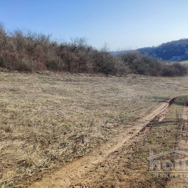 Plac Prodaja Novi Sad  2200 m2