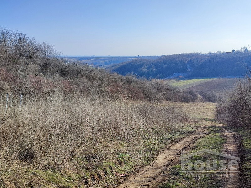 IMG-20230210-131315 Plac na prodaju, Čortanovci, Inđija, 2200m², 36.500 €