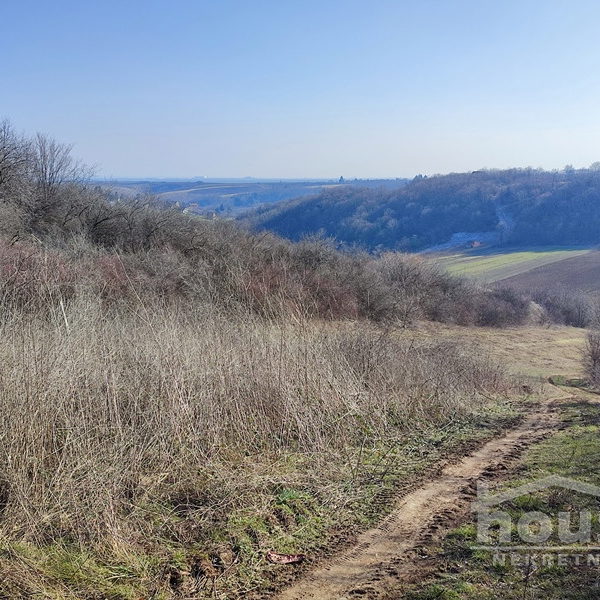 Plac na prodaju, Čortanovci, Inđija, 2200m², 36.500 €