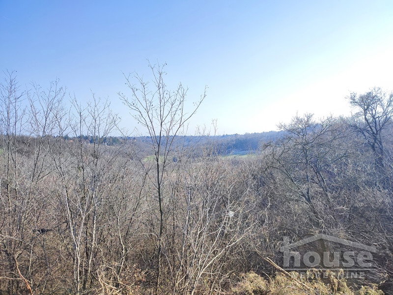 Plac Prodaja Novi Sad Plac Prodaja Novi Sad 16800 m2