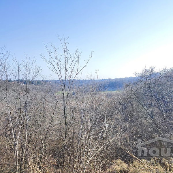 Plac Prodaja Novi Sad  16800 m2