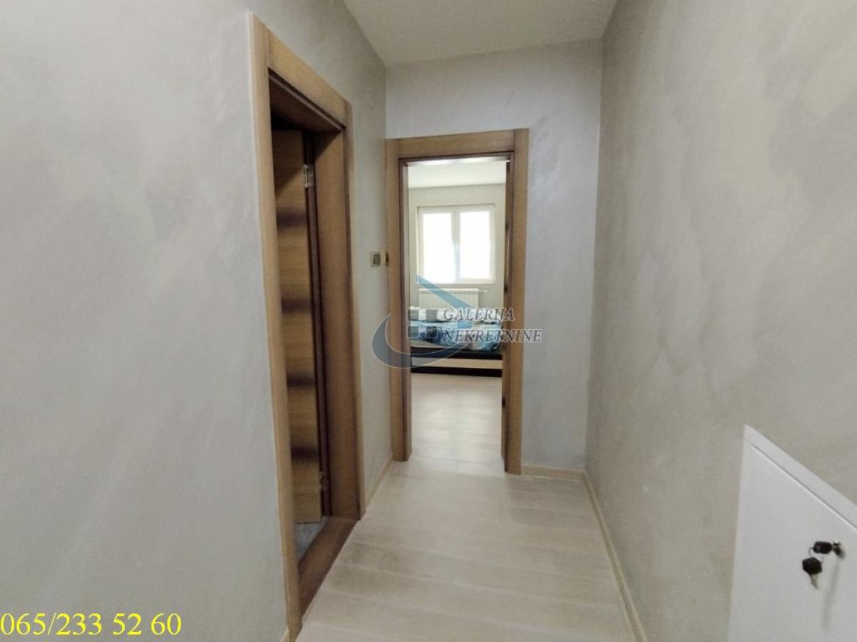 actionimagesite31agencygalerijanekimgrkhwmwv8er-15 Petosoban stan za izdavanje, Filmski Grad, Beograd, 165m², 1.800 €/mes