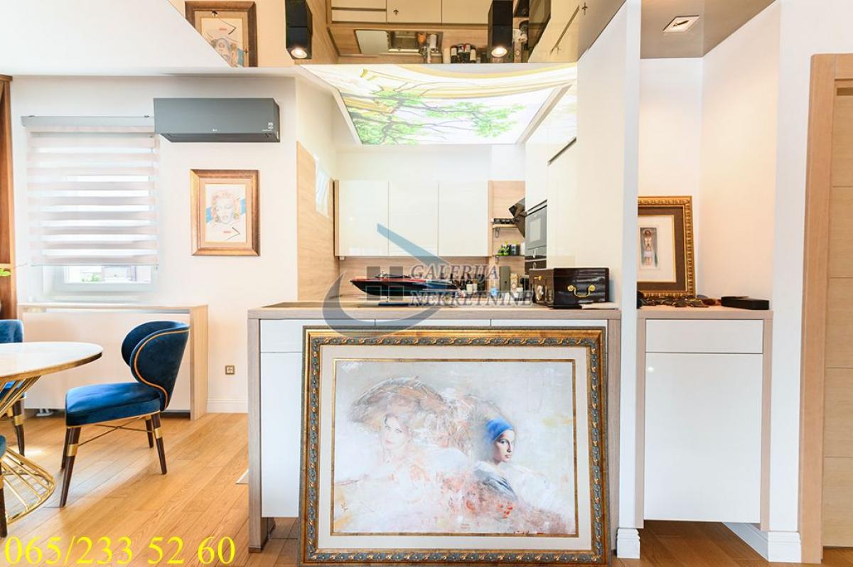 actionimagesite31agencygalerijanekimgufzoqsjuii-20 Trosoban stan na prodaju, Južni Bulevar, Beograd, 83m², 389.000 €