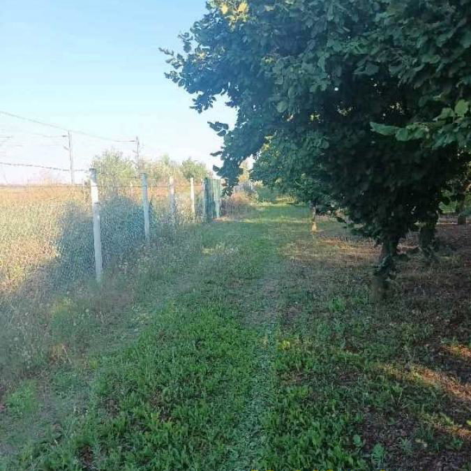 Trosoban stan na prodaju, Centar, Novi Sad, 54m², 231.800 €