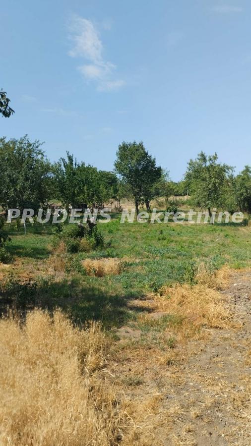 Kuća na prodaju, Dobanovci, Beograd, 300m², 350.000 €