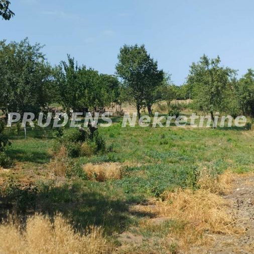 Kuća na prodaju, Dobanovci, Beograd, 300m², 350.000 €