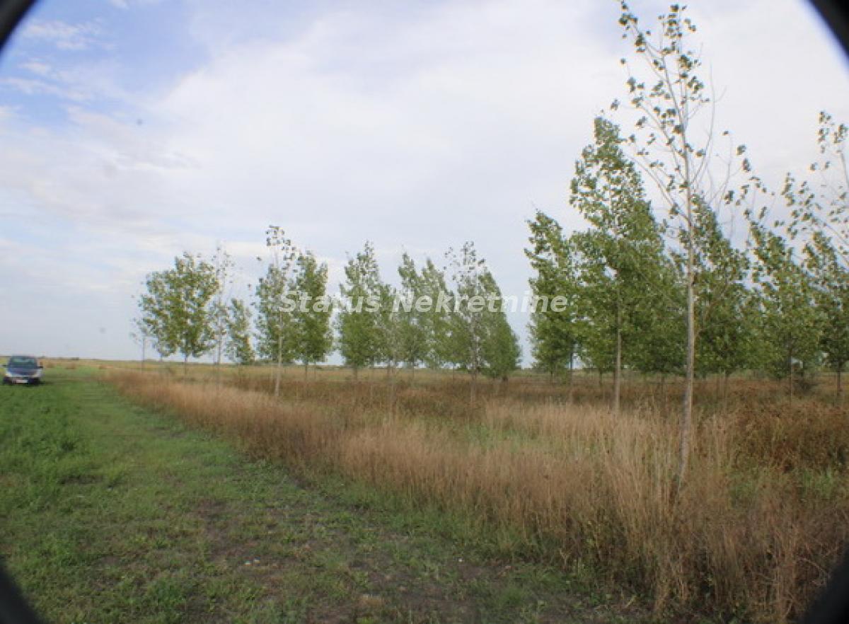 Plac na prodaju, Zrenjanin, 1378,38 ari, 115.000 €