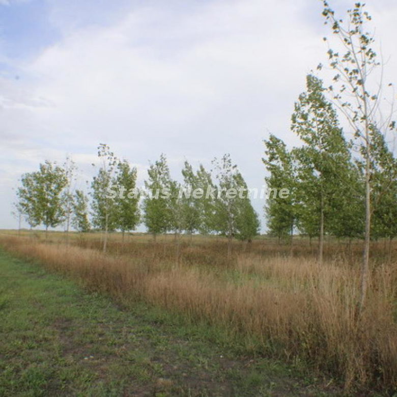 Plac na prodaju, Zrenjanin, 1378,38 ari, 115.000 €