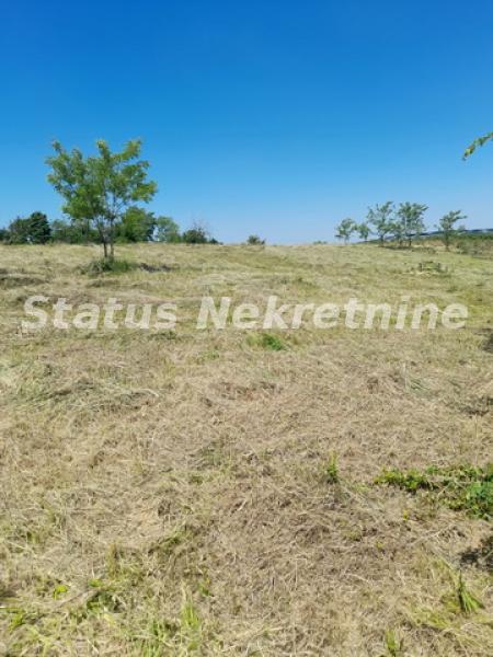 actionimagesite31agencystatusimg08nhwjo0qn-20210605-111626-resize Plac na prodaju, Petrovaradin, Novi Sad, 64,65 ari, 466.000 €