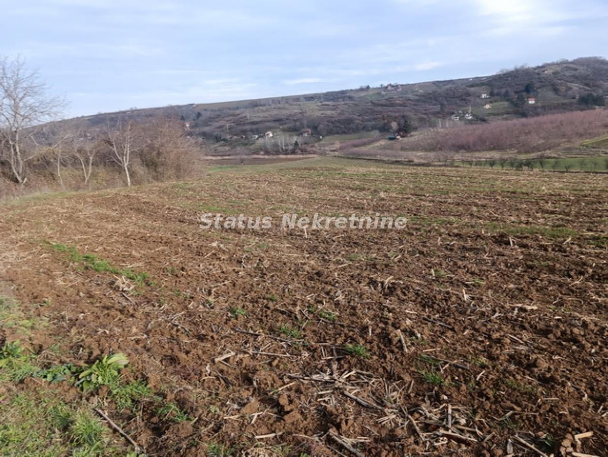 Plac na prodaju, Sremski Karlovci, 322,34 ari, 332.000 €