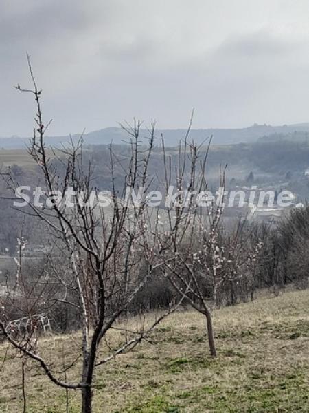 actionimagesite31agencystatusimg26q0m6xo3y-20220317-142016-resize Plac na prodaju, Petrovaradin, Novi Sad, 36,25 ari, 169.950 €