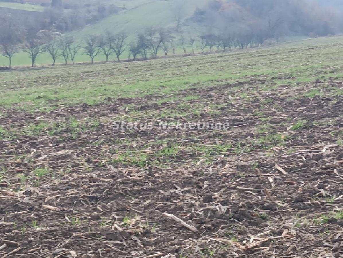 Plac na prodaju, Sremski Karlovci, 322,34 ari, 332.000 €