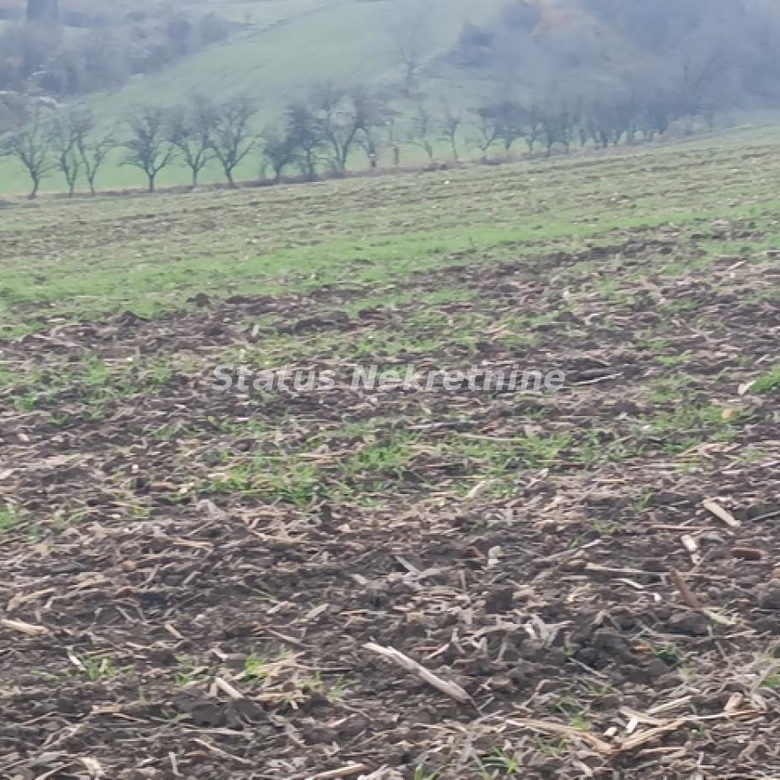 Plac na prodaju, Sremski Karlovci, 322,34 ari, 332.000 €