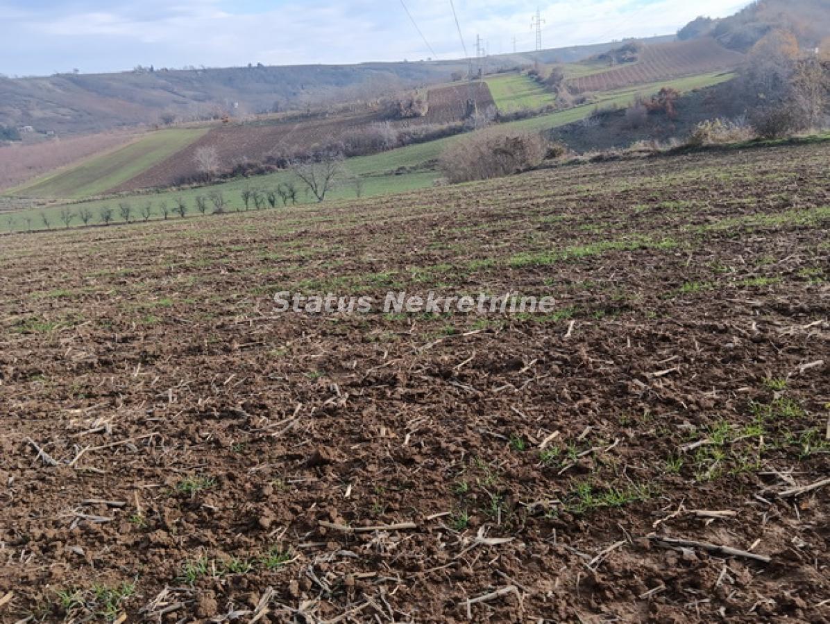 Plac na prodaju, Sremski Karlovci, 322,34 ari, 332.000 €