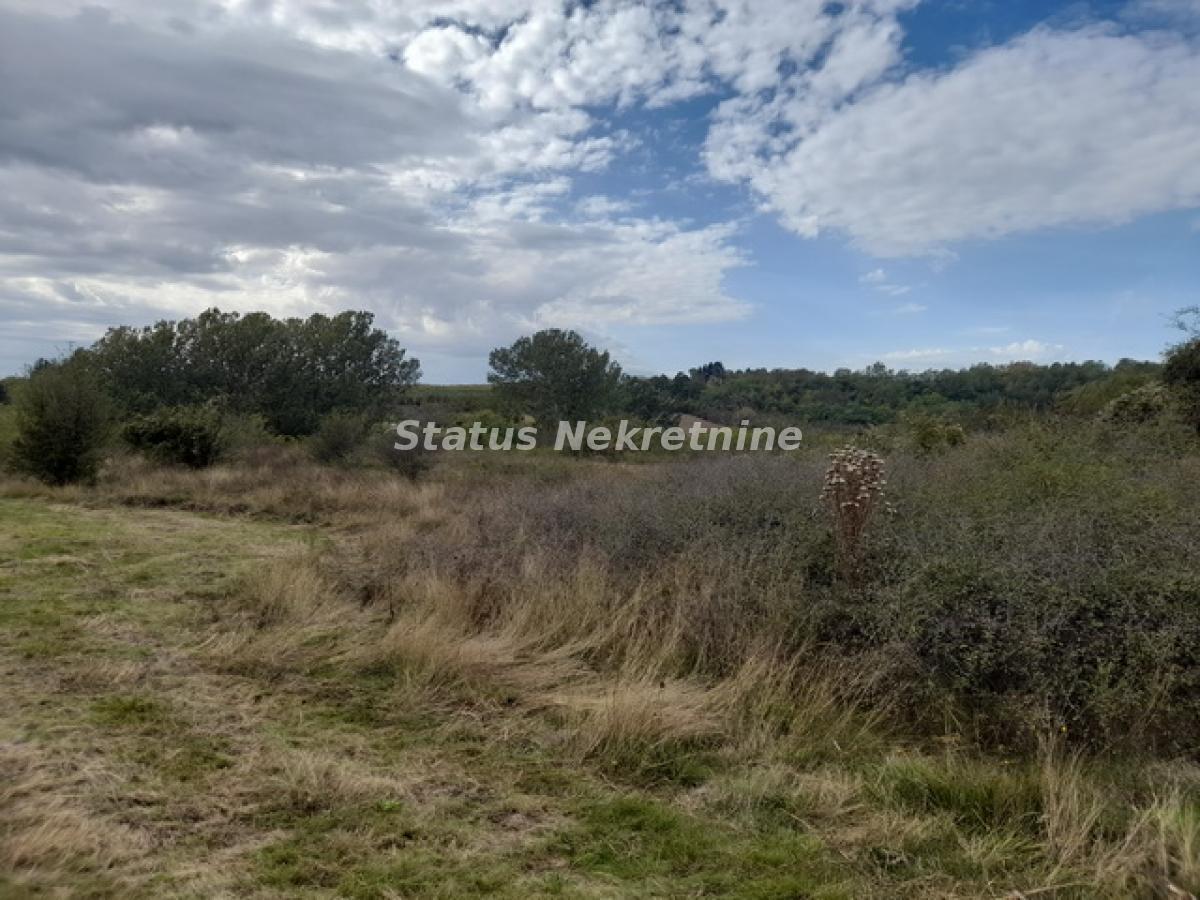 actionimagesite31agencystatusimg2jukvttanj-20231019-134653-resize Plac na prodaju, Irig, 37,8 ari, 40.000 €