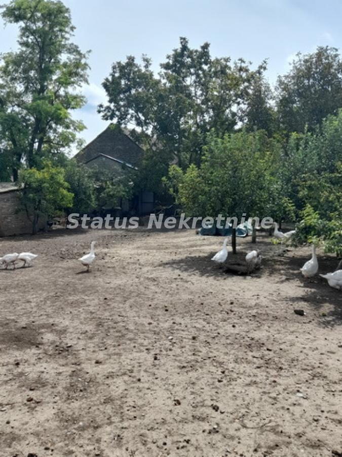 actionimagesite31agencystatusimg2nowsin3bh-20230831-122708-resize Kuća na prodaju, Ruma, 220m², 72.100 €