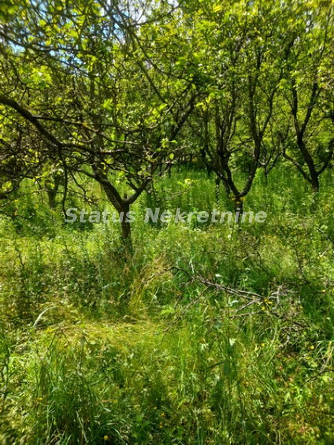 actionimagesite31agencystatusimg2phvbndqpk-20230610-131219-resize Plac na prodaju, Inđija, 21,65 ari, 49.000 €