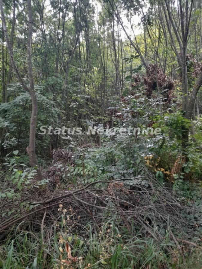 actionimagesite31agencystatusimg32ivkhujk6-20230830-104956-resize Plac na prodaju, Sremski Karlovci, 7,7 ari, 15.000 €