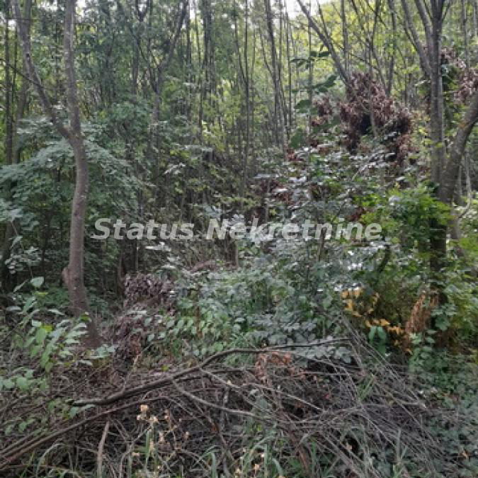 Plac na prodaju, Sremski Karlovci, 7,7 ari, 15.000 €