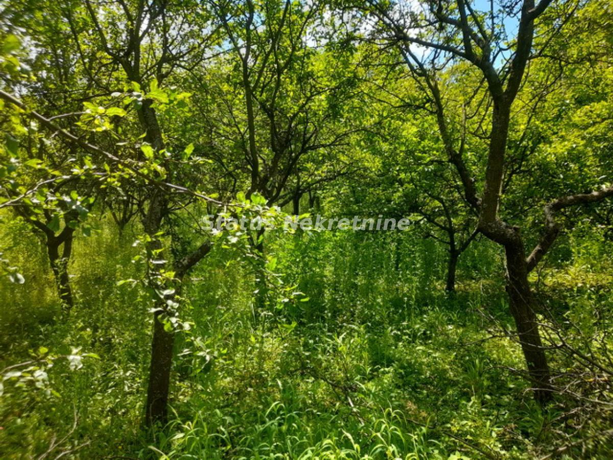 actionimagesite31agencystatusimg38bkmbu42b-20230610-131145-resize Plac na prodaju, Inđija, 21,65 ari, 49.000 €