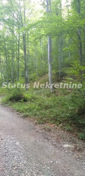 Plac na prodaju, Kopaonik, 75 ari, 6.187.500 €