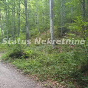 Plac na prodaju, Kopaonik, 75 ari, 6.187.500 €