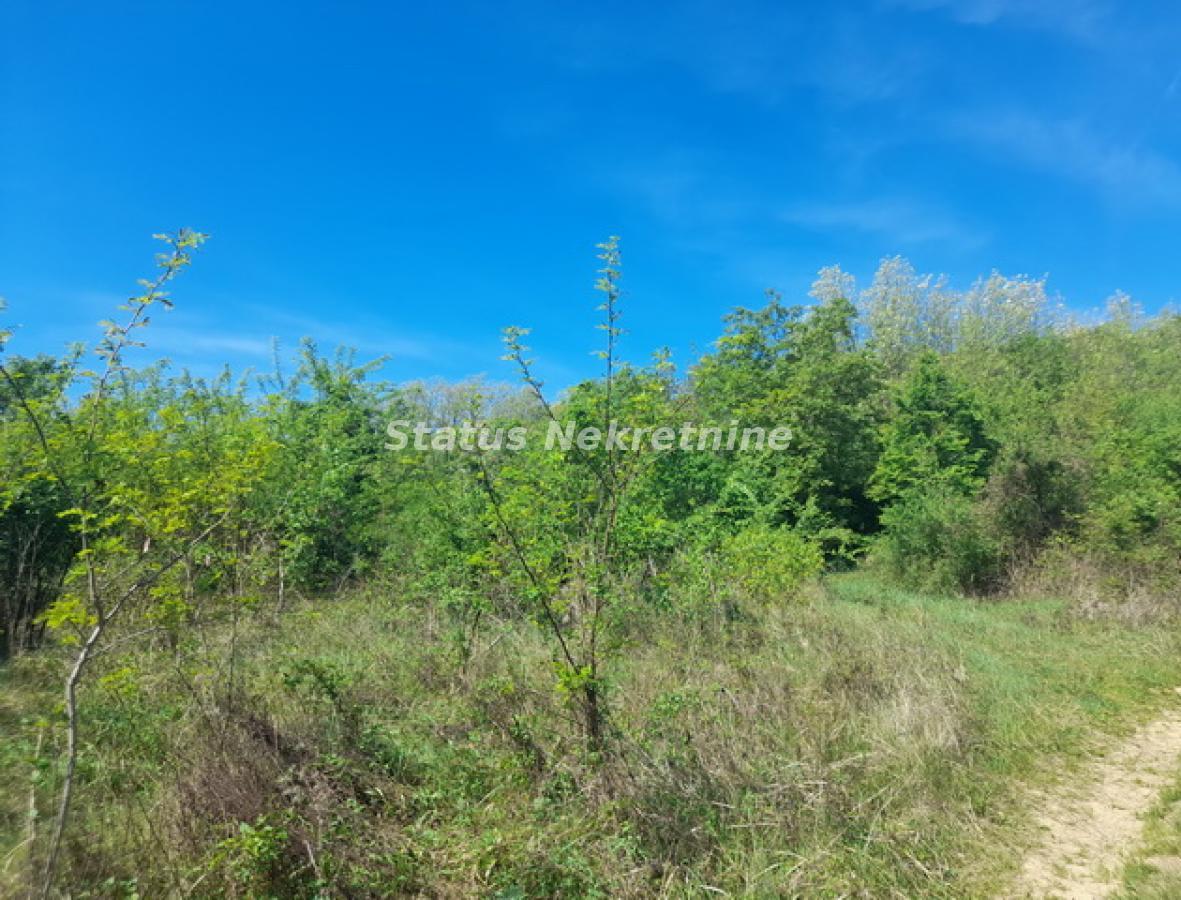 Kuća na prodaju, Sremski Karlovci, 57m², 49.000 €