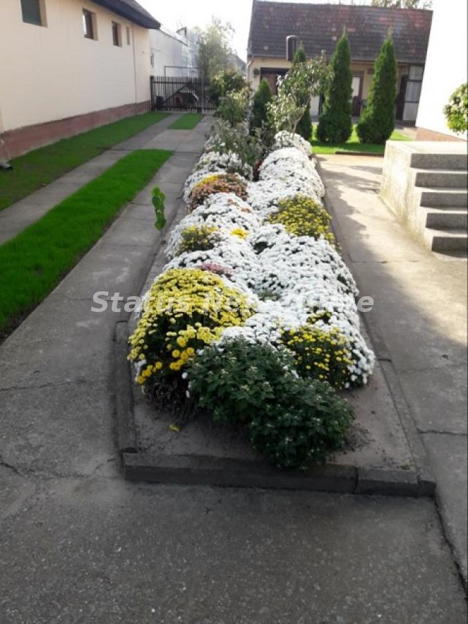 Kuća na prodaju, Centar, Bačka Palanka, 170m², 170.000 €