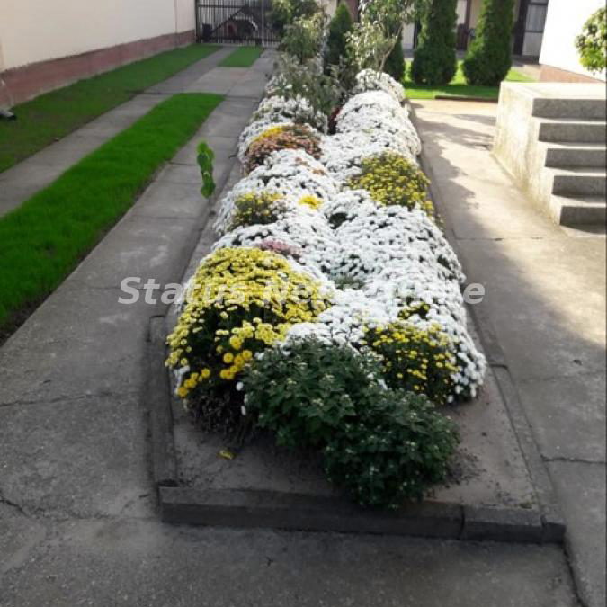 Kuća na prodaju, Centar, Bačka Palanka, 170m², 170.000 €