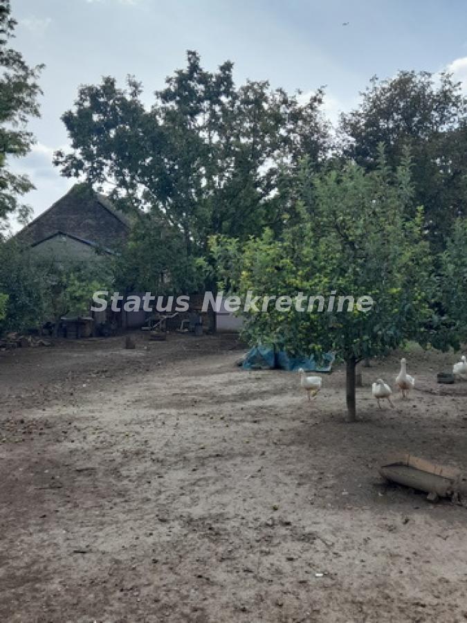 actionimagesite31agencystatusimg545muwv4he-20230831-122418-resize Kuća na prodaju, Ruma, 220m², 72.100 €