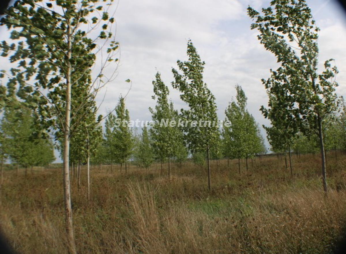 Plac na prodaju, Zrenjanin, 1378,38 ari, 115.000 €