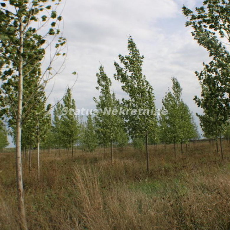 Plac na prodaju, Zrenjanin, 1378,38 ari, 115.000 €