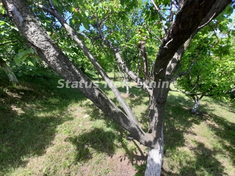 Kuća na prodaju, Beočin, 30m², 103.000 €