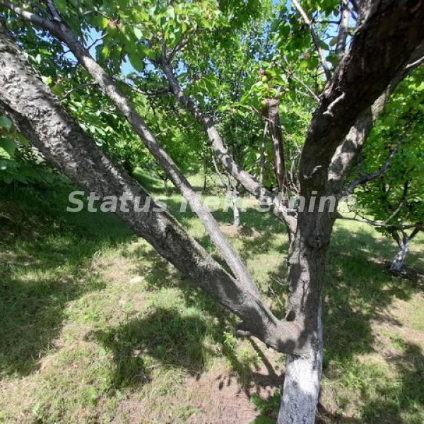 Kuća na prodaju, Beočin, 30m², 103.000 €