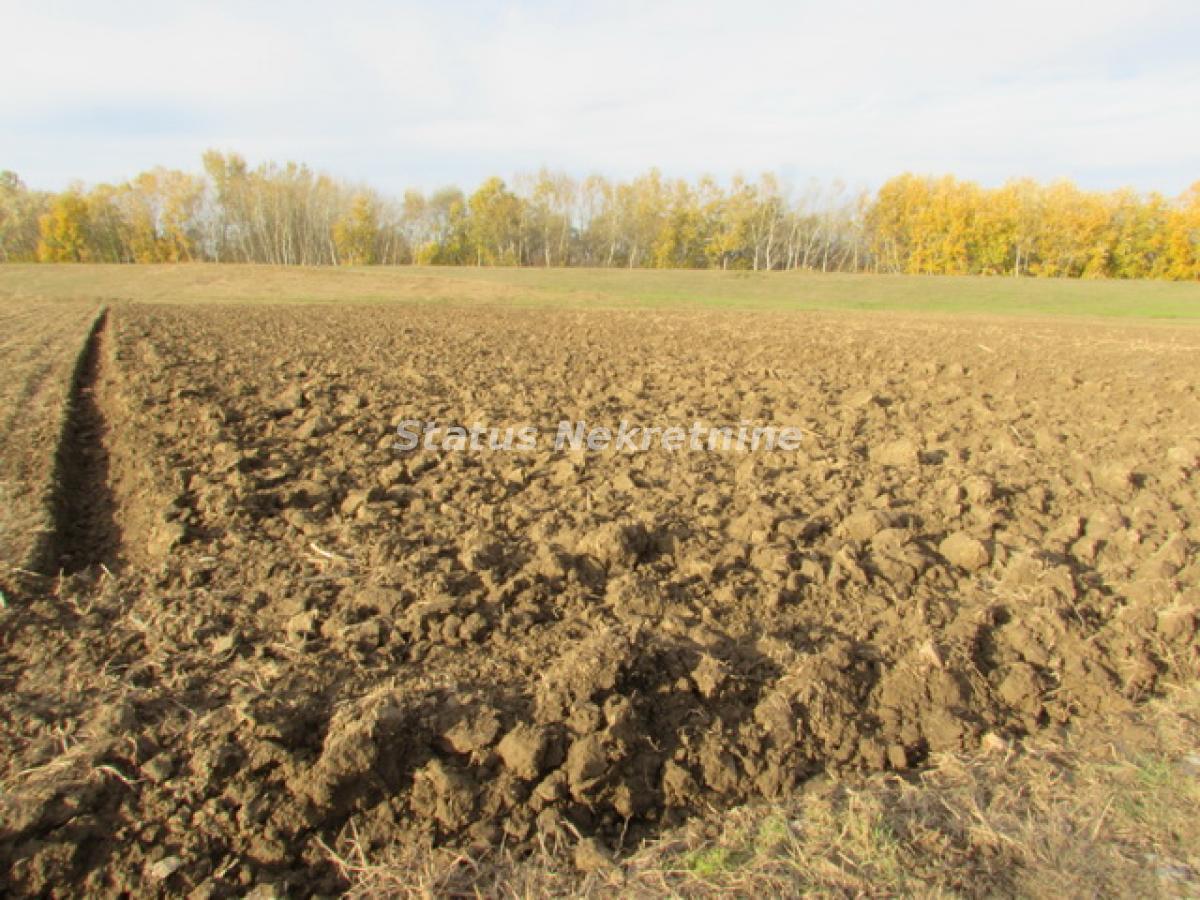 Plac na prodaju, Sremska Mitrovica, 604,5 ari, 226.600 €