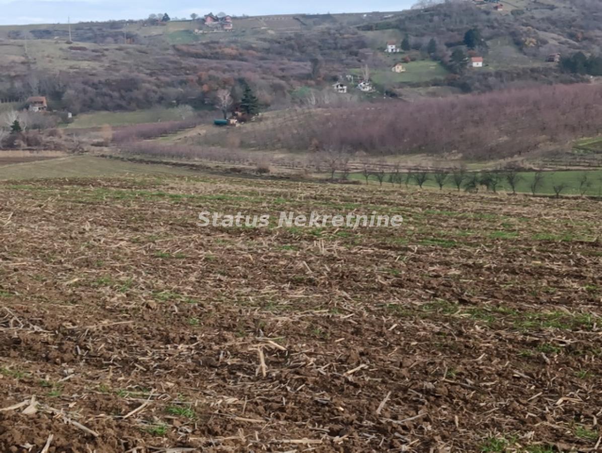 Plac na prodaju, Sremski Karlovci, 322,34 ari, 332.000 €