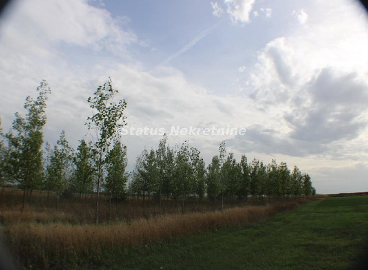 Plac na prodaju, Zrenjanin, 1378,38 ari, 115.000 €