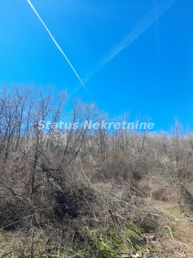 actionimagesite31agencystatusimg8hgatv724r-20230313-124555-resize Plac na prodaju, Sremski Karlovci, 70,25 ari, 59.000 €