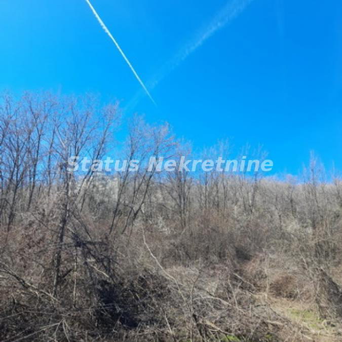 Plac na prodaju, Sremski Karlovci, 70,25 ari, 59.000 €