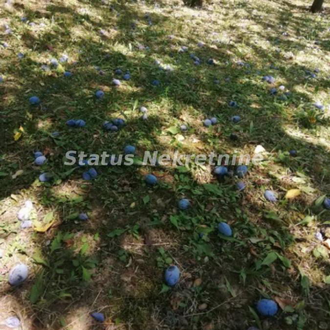 Plac na prodaju, Inđija, 21,65 ari, 49.000 €