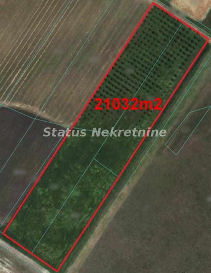 Plac na prodaju, Zrenjanin, 1378,38 ari, 115.000 €