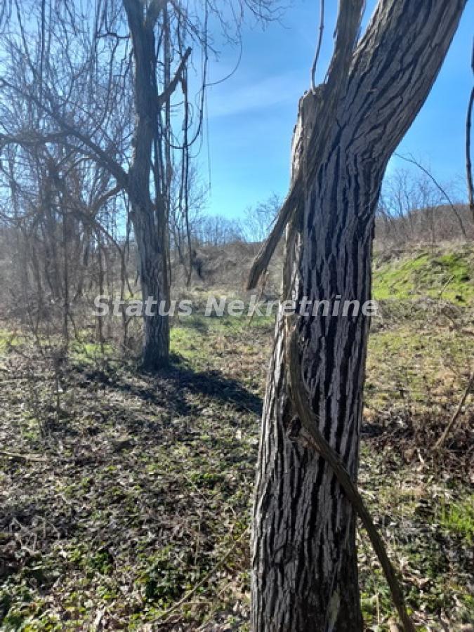 Plac na prodaju, Sremski Karlovci, 147,57 ari, 49.000 €
