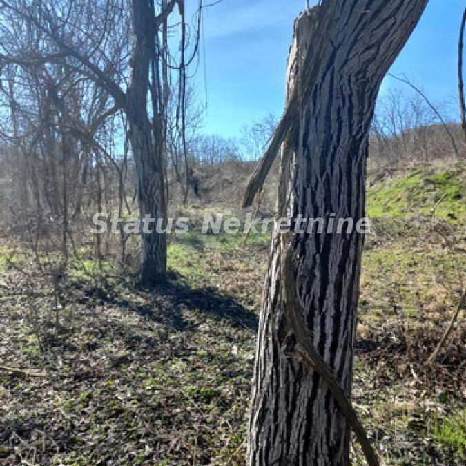 Plac na prodaju, Sremski Karlovci, 147,57 ari, 49.000 €