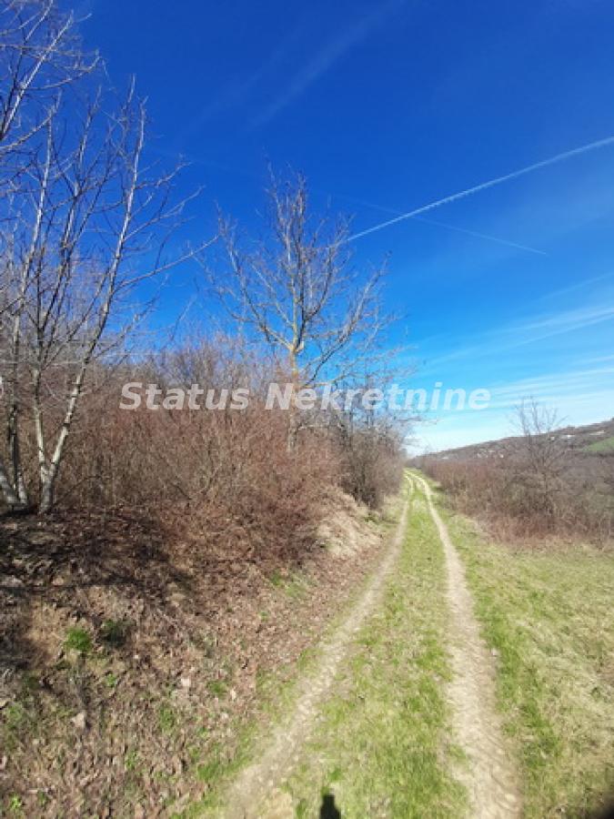 actionimagesite31agencystatusimgbd4v74zyf8-20230313-124345-resize Plac na prodaju, Sremski Karlovci, 70,25 ari, 59.000 €