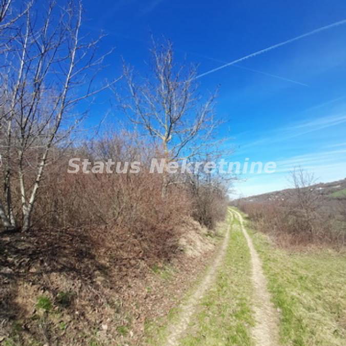 Plac na prodaju, Sremski Karlovci, 70,25 ari, 59.000 €